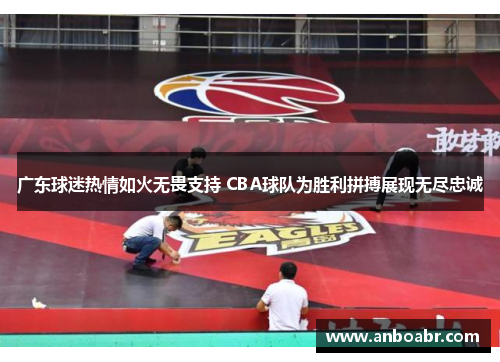 广东球迷热情如火无畏支持 CBA球队为胜利拼搏展现无尽忠诚